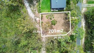 Residential Block For Sale - QLD - Macleay Island - 4184 - Bushland Backdrop, Water Connected & Just One Neighbour — Walk-to-Beach Lifestyle (Image 2)