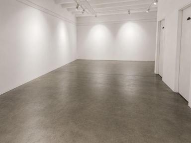 Office(s) For Lease - NSW - Camperdown - 2050 - 280sqm Office + Warehouse | Drive-Up Loading + High Ceilings  (Image 2)