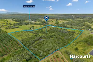 House For Sale - QLD - North Isis - 4660 - 30 ACRES IN NORTH ISIS  (Image 2)