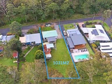 House For Sale - NSW - Huskisson - 2540 - Prime 1,031m² Block Backing Reserve Walk to Huskisson’s Main Street  (Image 2)