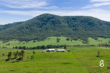 Other (Rural) For Sale - NSW - Stanhope - 2335 - "Hopevale" - Off Grid Vision with Stunning Views  (Image 2)