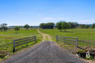 Other (Rural) For Sale - NSW - Jerrys Plains - 2330 - A Blank Canvas Beneath the Mountains  (Image 2)