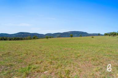 Other (Rural) For Sale - NSW - Jerrys Plains - 2330 - A Blank Canvas Beneath the Mountains  (Image 2)
