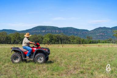 Other (Rural) Sold - NSW - Jerrys Plains - 2330 - A Blank Canvas Beneath the Mountains  (Image 2)