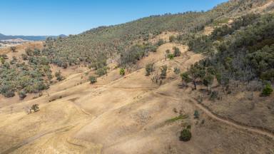 Residential Block For Sale - VIC - Walwa - 3709 - A rural retreat offering scenic views  (Image 2)