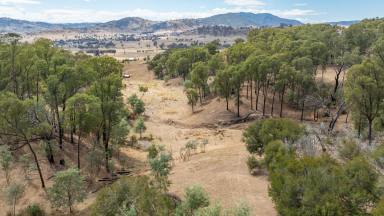 Residential Block For Sale - VIC - Walwa - 3709 - A rural retreat offering scenic views  (Image 2)