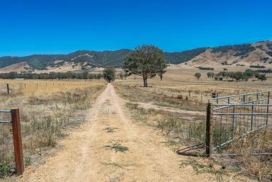 Residential Block For Sale - VIC - Walwa - 3709 - A rural retreat offering scenic views  (Image 2)