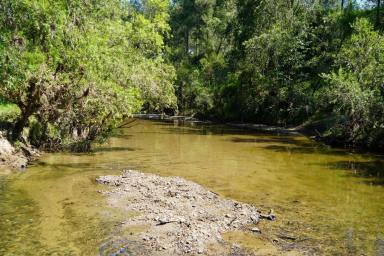 Livestock For Sale - NSW - Casino - 2470 - EDEN BROOK – A Rare Rural Retreat in the Heart of the Northern Rivers  (Image 2)