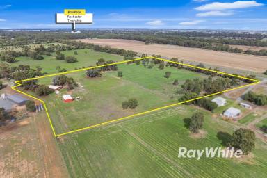 Lifestyle For Sale - VIC - Rochester - 3561 - Auction cancelled - now for sale - Outstanding Lifestyle Opportunity (Image 2)