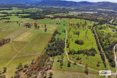 Acreage/Semi-rural For Sale - NSW - Melinga - 2430 - Coastal Grazing at Its Finest (Image 2)