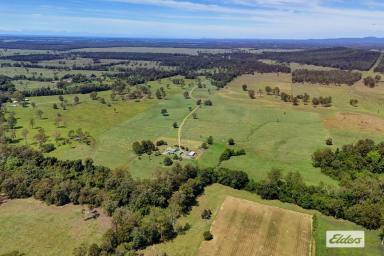 Acreage/Semi-rural For Sale - NSW - Melinga - 2430 - Coastal Grazing at Its Finest  (Image 2)