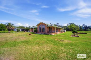 Acreage/Semi-rural For Sale - NSW - Melinga - 2430 - Coastal Grazing at Its Finest  (Image 2)