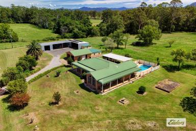 Acreage/Semi-rural For Sale - NSW - Melinga - 2430 - Coastal Grazing at Its Finest (Image 2)