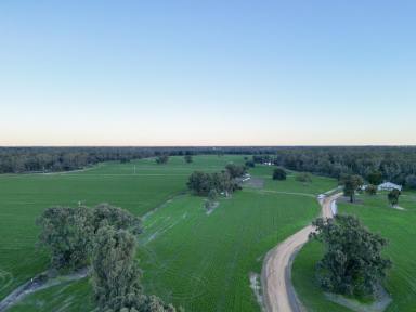 Cropping For Sale - NSW - Deniliquin - 2710 - Cropping Opportunity with Secure Water Access  (Image 2)