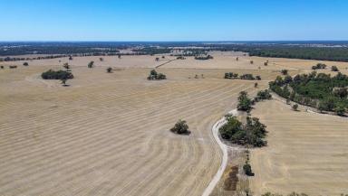 Cropping For Sale - NSW - Calimo - 2710 - Boxdale and Melrose - Cropping and Grazing Opportunity with Private Creek Frontage  (Image 2)