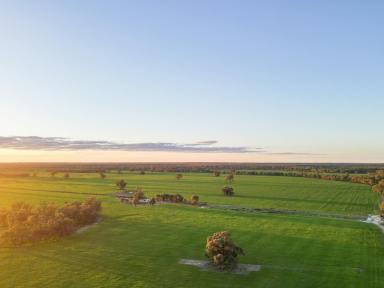 Cropping For Sale - NSW - Deniliquin - 2710 - Cropping Opportunity with Secure Water Access  (Image 2)
