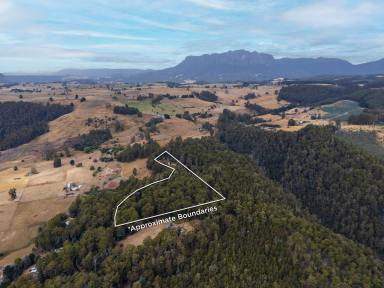 Residential Block For Sale - TAS - West Kentish - 7306 - Bush Retreat Minutes from Lake Barrington  (Image 2)