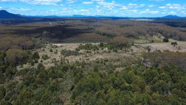 Residential Block For Sale - TAS - Waratah - 7321 - Amazing Waratah Acreage  (Image 2)