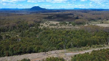 Residential Block For Sale - TAS - Waratah - 7321 - Amazing Waratah Acreage  (Image 2)