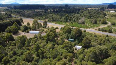 Residential Block For Sale - TAS - Waratah - 7321 - 16 Acres of Pristine Tasmanian Wilderness  (Image 2)