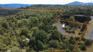Residential Block For Sale - TAS - Waratah - 7321 - 16 Acres of Pristine Tasmanian Wilderness  (Image 2)