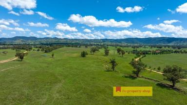 Other (Rural) For Sale - NSW - Mudgee - 2850 - PRIME ACREAGE 3KM FROM MUDGEE  (Image 2)