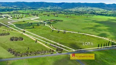 Other (Rural) For Sale - NSW - Mudgee - 2850 - PRIME ACREAGE 3KM FROM MUDGEE  (Image 2)