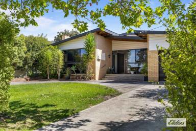 House For Sale - VIC - Ararat - 3377 - Sunlit Spaces & Effortless Family Living in the Esteemed West End  (Image 2)