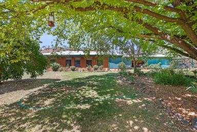 Livestock For Sale - NSW - Red Hill - 2347 - GOOD VALUE LIFESTYLE AND GRAZING  (Image 2)