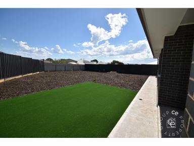 House For Lease - SA - Mannum - 5238 - Welcoming New Spacious Home  (Image 2)