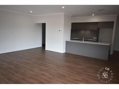House For Lease - SA - Mannum - 5238 - Newly Built Spacious Family Home  (Image 2)