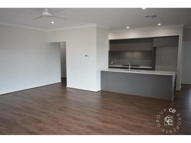 House For Lease - SA - Mannum - 5238 - Beautifully Presented Newly Built Home  (Image 2)