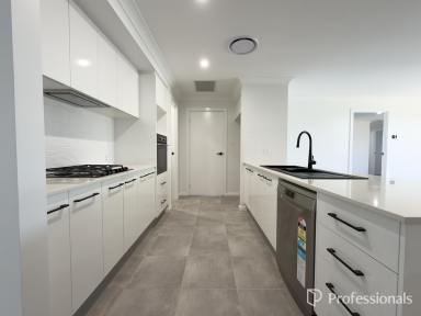 House For Lease - NSW - Westdale - 2340 - 4 Bedroom Home for Lease - New Build  (Image 2)