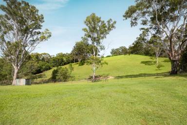 House For Sale - QLD - Black Mountain - 4563 - Country Haven Where Space, Comfort and Mountain Views Meet  (Image 2)