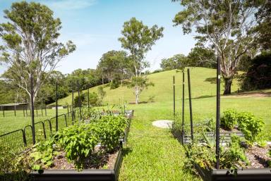 Other (Residential) For Sale - QLD - Black Mountain - 4563 - Country Haven Where Space, Comfort and Mountain Views Meet  (Image 2)