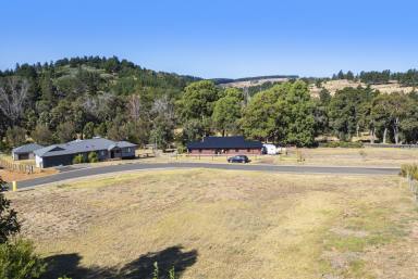 Residential Block For Sale - WA - Nannup - 6275 - Prime Block in Nannup! (Image 2)