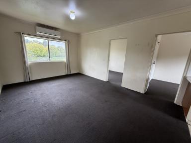 Unit For Lease - NSW - Cooma - 2630 - 3/3 Mulach Street, Cooma (Image 2)