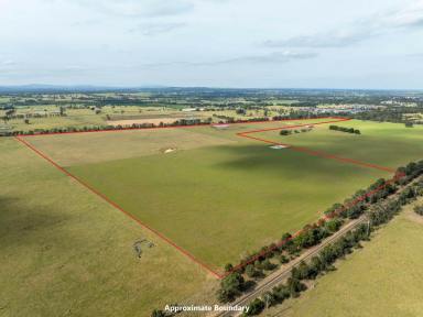 Mixed Farming For Sale - VIC - Bairnsdale - 3875 - 101 ACRES IN TOWN!  (Image 2)