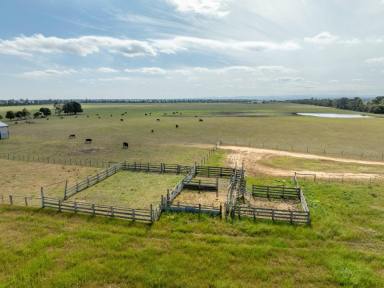 Mixed Farming For Sale - VIC - Bairnsdale - 3875 - 101 ACRES IN TOWN!  (Image 2)
