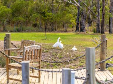 House For Sale - NSW - Old Bar - 2430 - UNIQUE COASTAL ACRES OFFERING THE PERFECT LIFESTYLE  (Image 2)