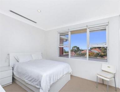 Apartment Leased - NSW - Randwick - 2031 - Light and Bright Apartment Available March 28th  (Image 2)