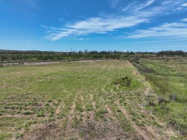 Residential Block For Sale - NSW - Jones Island - 2430 - Where Country Calm Meets Waterfront Living (Image 2)