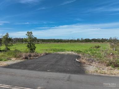 Residential Block For Sale - NSW - Jones Island - 2430 - Where Country Calm Meets Waterfront Living  (Image 2)