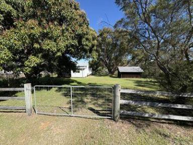 House For Lease - NSW - Copmanhurst - 2460 - VILLAGE LIFESTYLE  (Image 2)