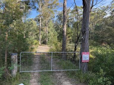 Residential Block For Sale - NSW - Wallagoot - 2550 - WALLAGOOT BOURNDA BEAUTY  (Image 2)