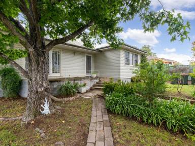 House For Sale - NSW - Bega - 2550 - DOUBLE BLOCK IN THE HEART OF BEGA  (Image 2)