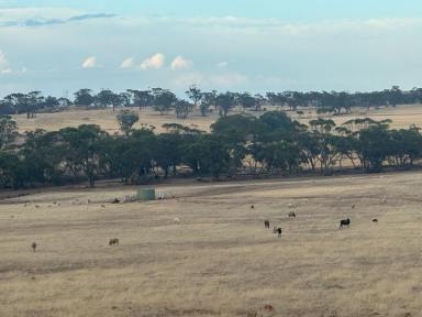 Residential Block For Sale - WA - Mumberkine - 6401 - 80 Acres | Exceptional Water Security | Quality Infrastructure (Image 2)