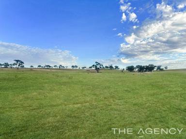 Residential Block For Sale - WA - Mumberkine - 6401 - 80 Acres | Exceptional Water Security | Quality Infrastructure  (Image 2)