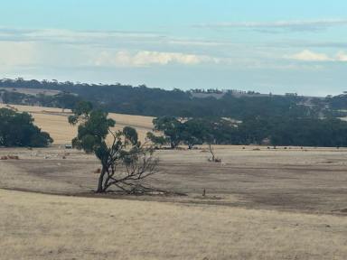 Residential Block For Sale - WA - Mumberkine - 6401 - 80 Acres | Exceptional Water Security | Quality Infrastructure (Image 2)