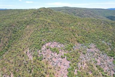 Lifestyle For Sale - QLD - Carmila - 4739 - 40.90ha Coastal Acreage with Stunning Ocean Views Bruce Highway Frontage  (Image 2)